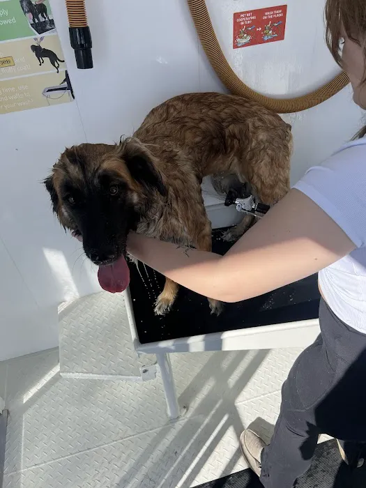 Bowser Bath Picture 8