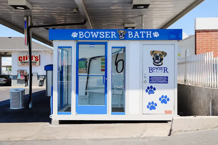 Bowser Bath Picture 1