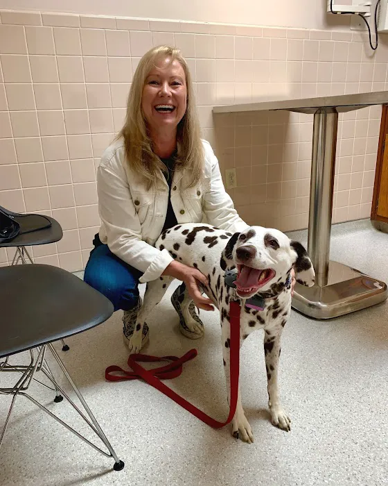 Maple Hills Veterinary Hospital Picture 4