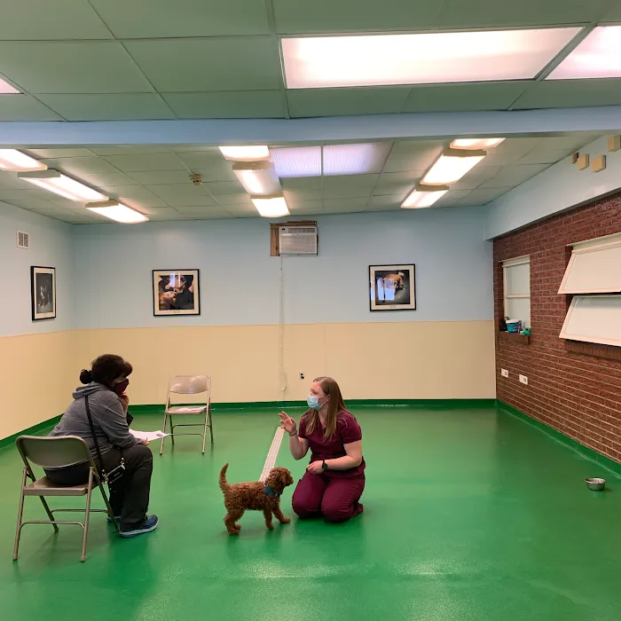 Maple Hills Veterinary Hospital Picture 10
