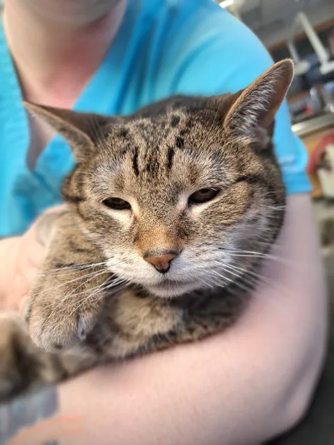 Maple Hills Veterinary Hospital Picture 5