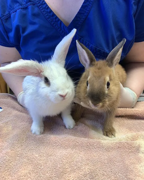 Maple Hills Veterinary Hospital Picture 3