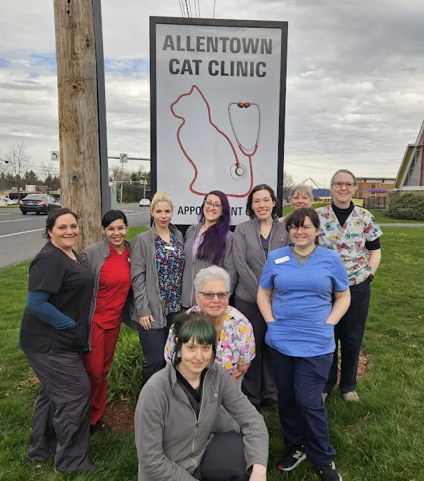 Allentown Cat Clinic, PC Picture 1