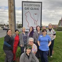 Allentown Cat Clinic, PC ico