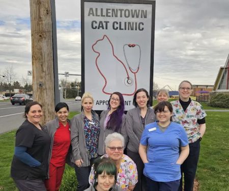 Allentown Cat Clinic, PC
