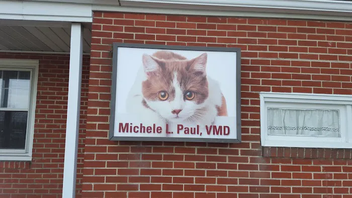 Allentown Cat Clinic, PC Picture 8