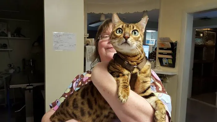 Allentown Cat Clinic, PC Picture 5