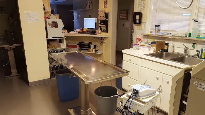 Allentown Cat Clinic, PC Picture 4