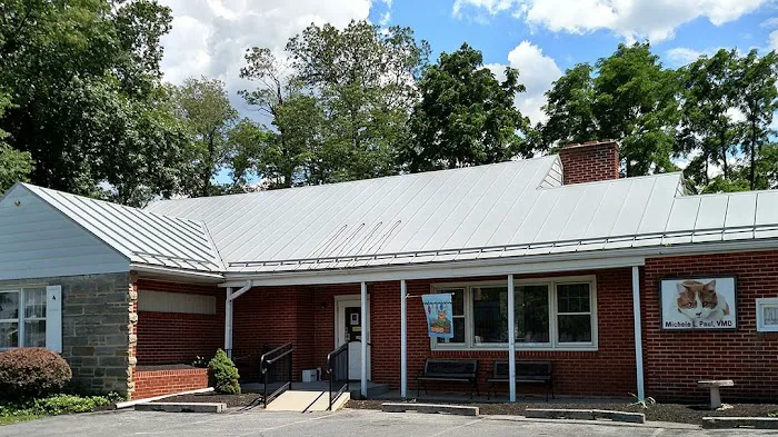 Allentown Cat Clinic, PC Picture 6
