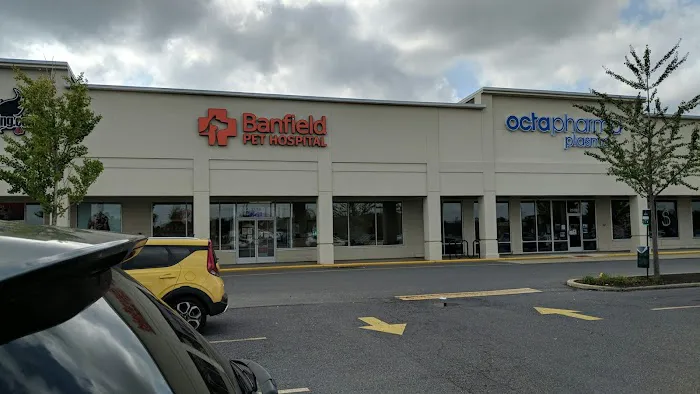 Banfield Pet Hospital Picture 2