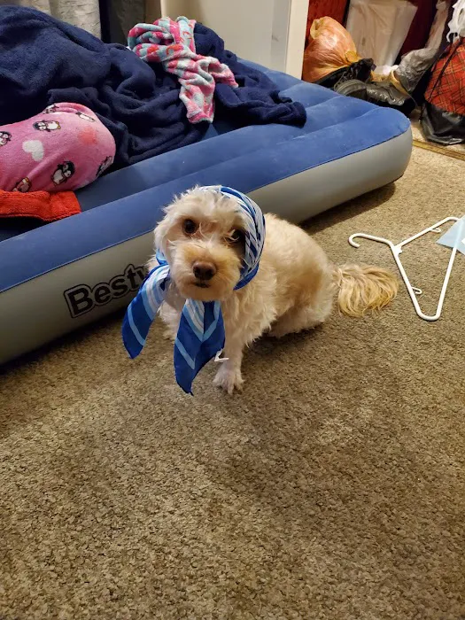 Banfield Pet Hospital Picture 1