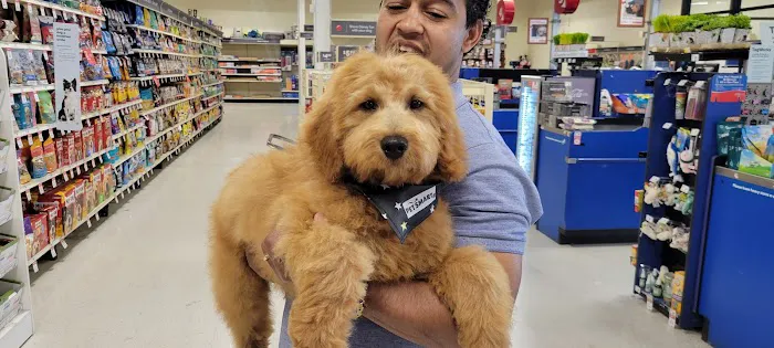 Banfield Pet Hospital Picture 4