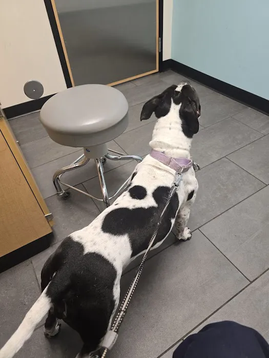 Banfield Pet Hospital Picture 7