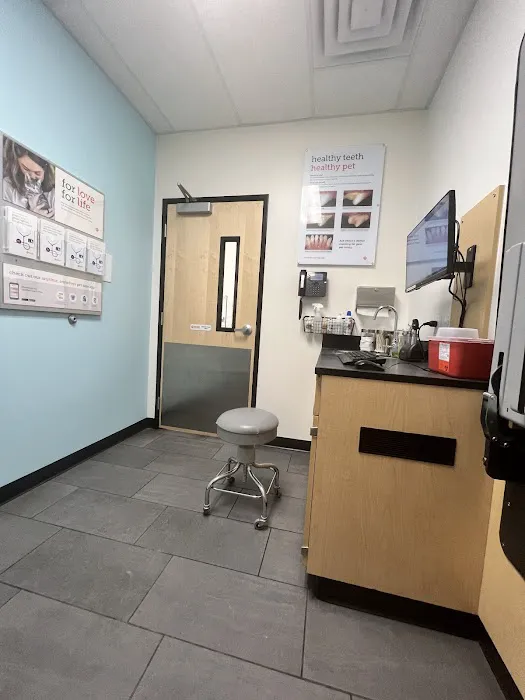 Banfield Pet Hospital Picture 9