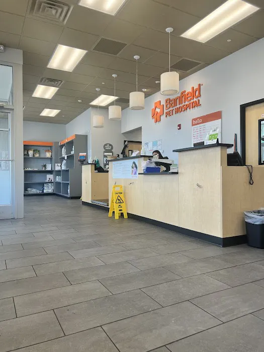 Banfield Pet Hospital Picture 6