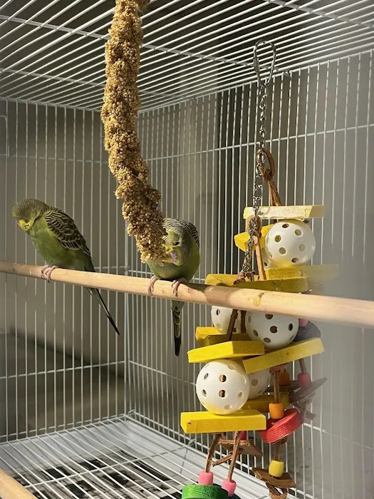Mini-Critters Picture 5