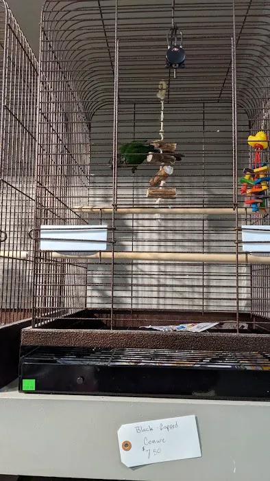 Mini-Critters Picture 4
