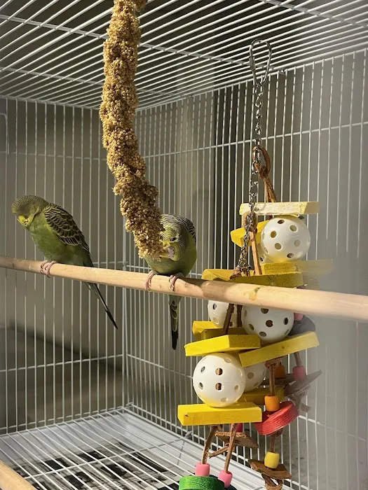 Mini-Critters Picture 10