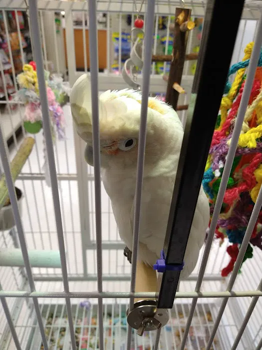 Mini-Critters Picture 5