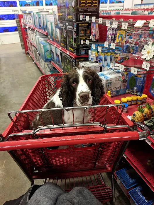 Petco Picture 7