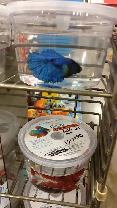 Petco Picture 1