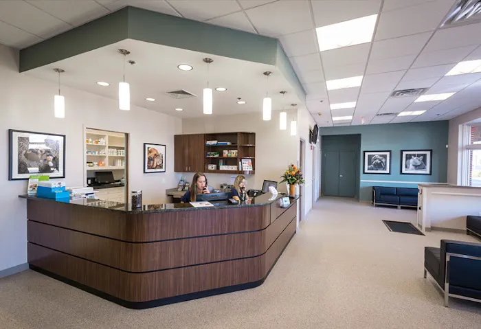 Central Veterinary Center Picture 8