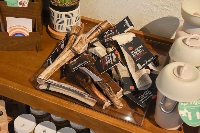 The Tail That Got Away Picture 2