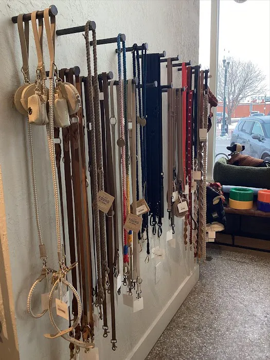 The Tail That Got Away Picture 6