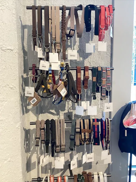 The Tail That Got Away Picture 10