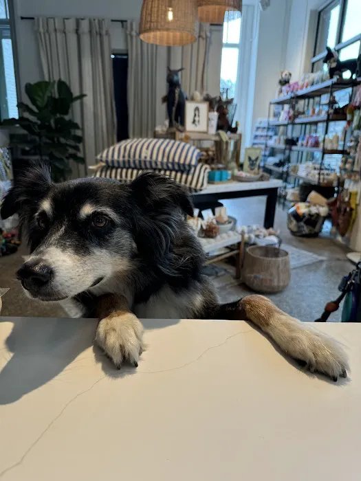 The Tail That Got Away Picture 9