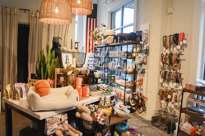 The Tail That Got Away Picture 4