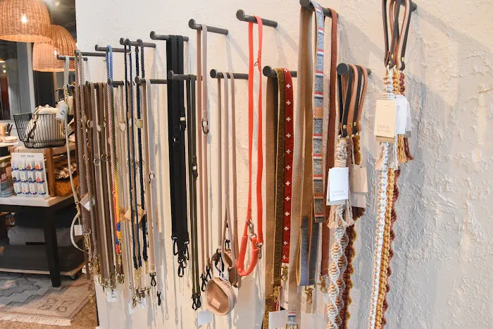 The Tail That Got Away Picture 7