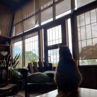 Colmar Veterinary Hospital ico