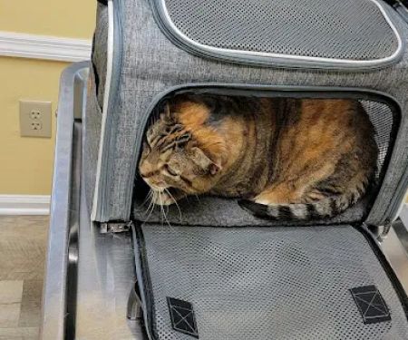 Hatfield Veterinary Clinic
