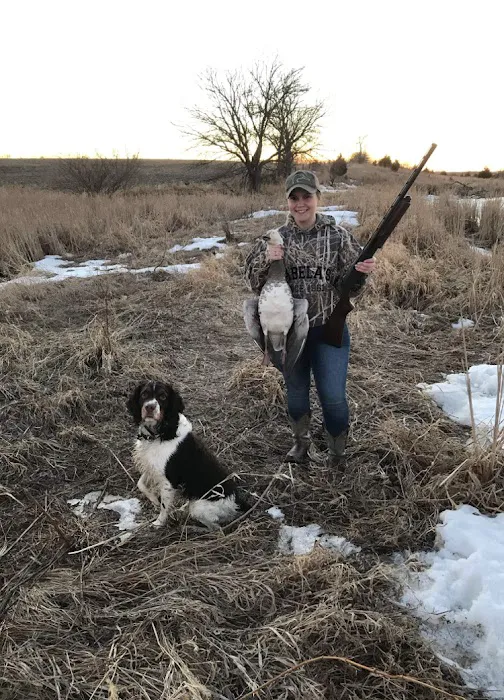 Dakotaland Springers Picture 2