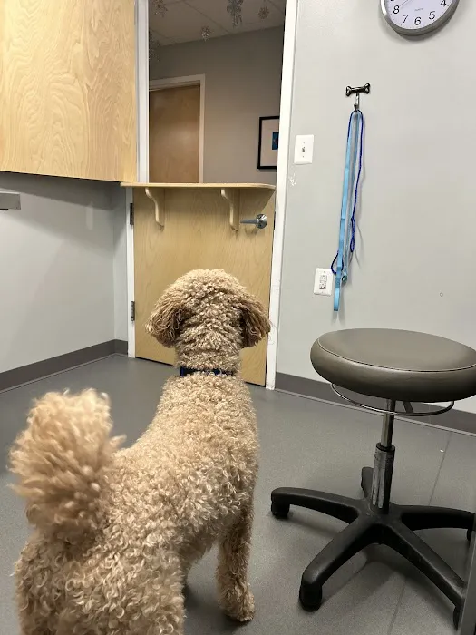Ark Animal Hospital Picture 6