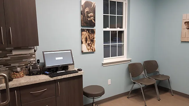 North Penn Animal Hospital Picture 4