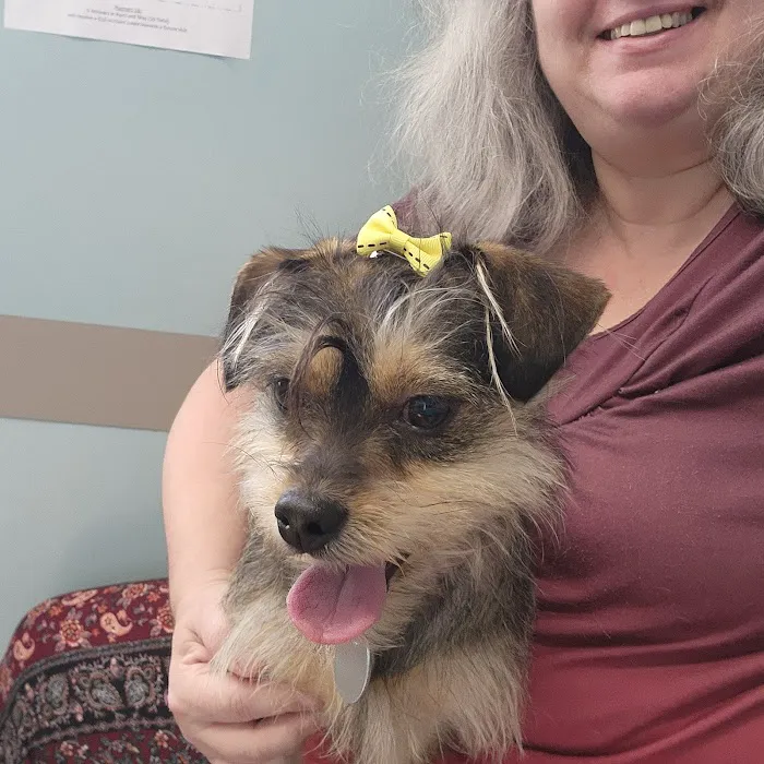 North Penn Animal Hospital Picture 3
