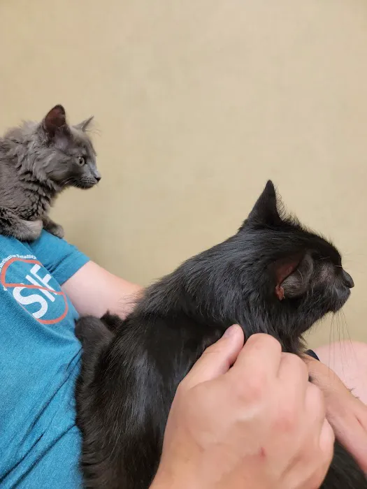 Harleysville Veterinary Hospital Picture 9