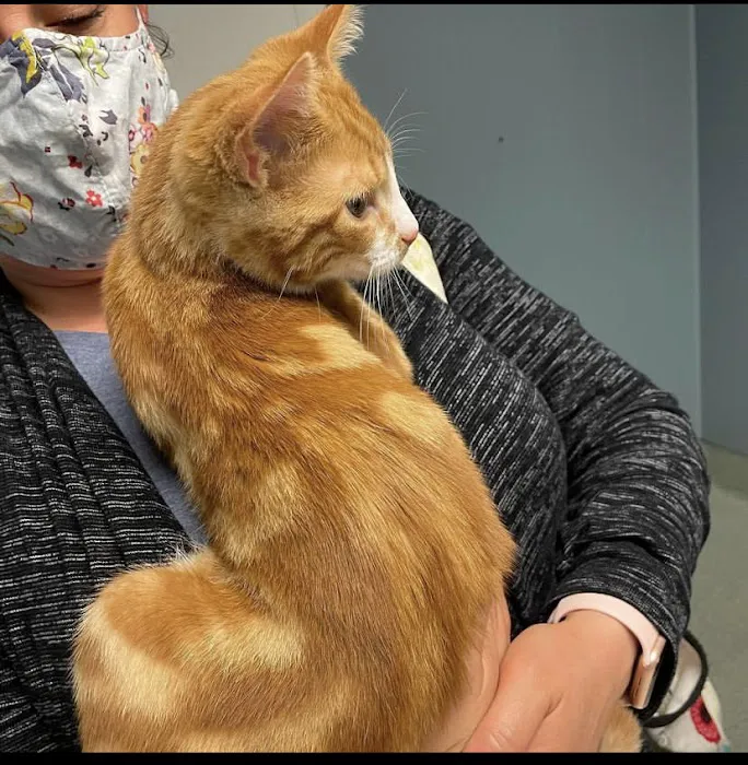Animal Crackers Veterinary Clinic Picture 4