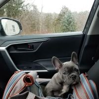 Hingham Animal Clinic ico