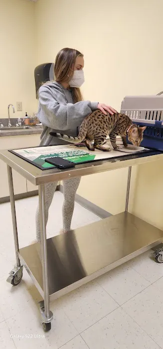 Canterbury Animal Hospital Picture 2