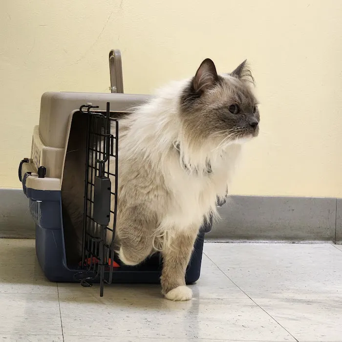 Canterbury Animal Hospital Picture 9