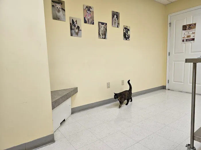 Canterbury Animal Hospital Picture 7