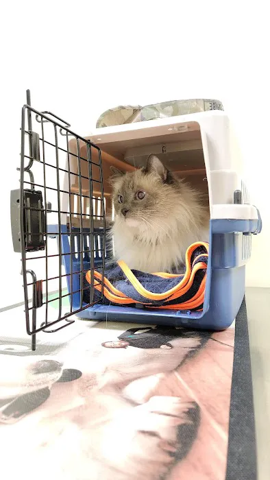 Canterbury Animal Hospital Picture 4