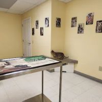 Canterbury Animal Hospital ico