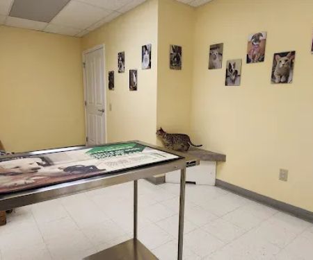 Canterbury Animal Hospital