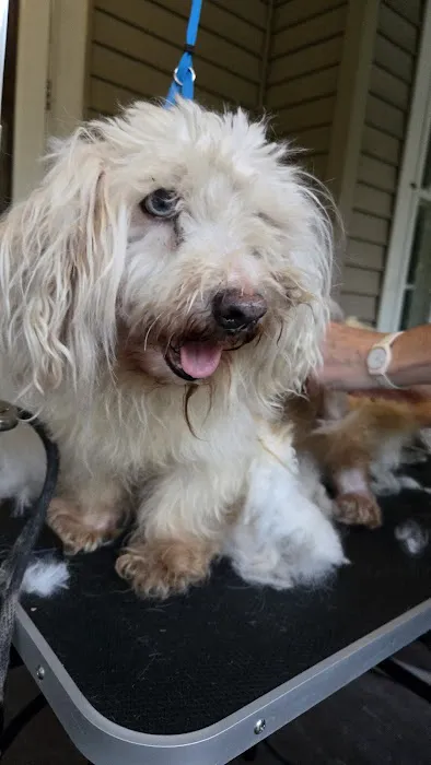 Miller Animal Hospital Picture 2