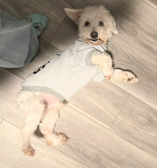 Miller Animal Hospital Picture 7