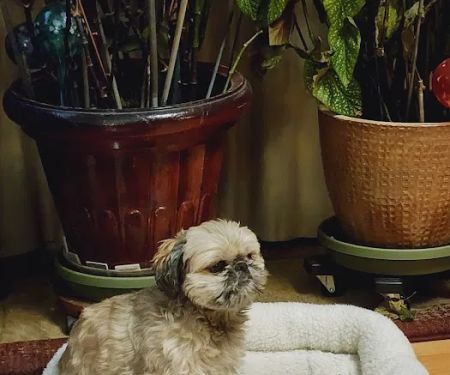 Miller Animal Hospital